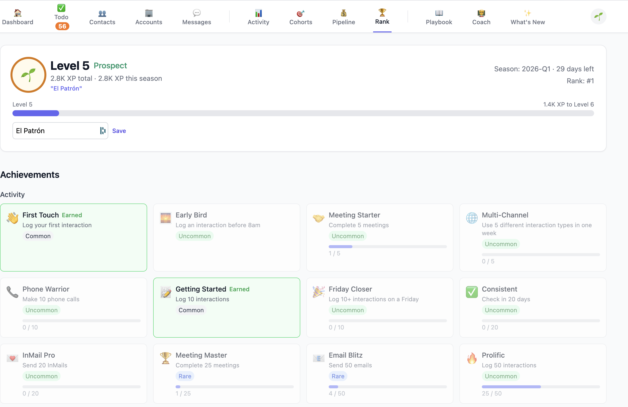 Gamification page with XP levels, achievements, and team leaderboard
