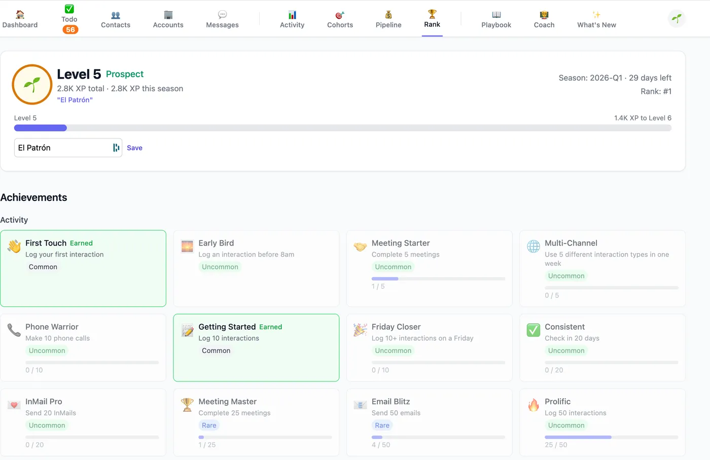 Gamification page with XP levels, achievements, and team leaderboard